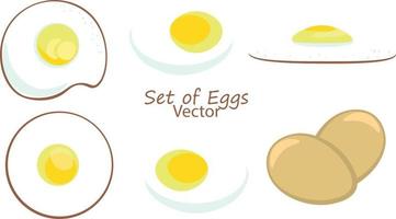 Chicken egg vector cartoon set