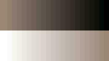 Color palette wheat vector