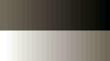 Color palette wheat vector