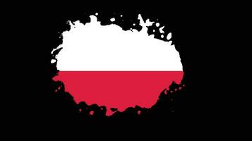 New vintage splash Poland flag vector