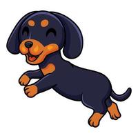 Cute dashund dog cartoon posing vector