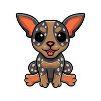 Cute australian cattle dog cartoon vector