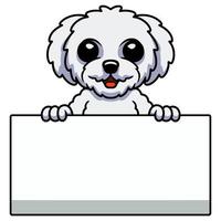 lindo, bichon frise, caricatura, tenencia, muestra en blanco vector