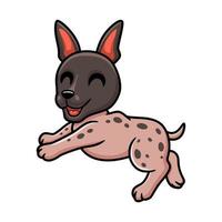 Cute american hairless terrier cartoon vector