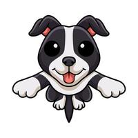 Cute american staffordshire terrier dog cartoon vector