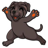Cute neapolitan mastiff dog cartoon walking vector