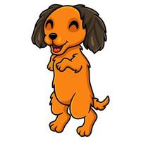 Cute dibujos animados de perro dachund posando vector