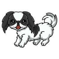 Cute japanese chin dog cartoon vector