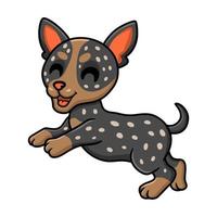 Cute australian cattle dog cartoon vector