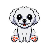 lindo bichón frisé dibujos animados sentado vector