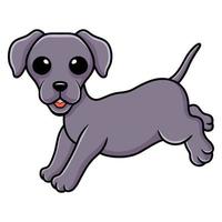 Cute little weimaraner dog cartoon vector