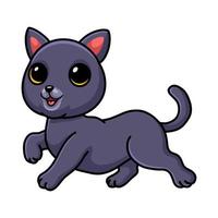 Cute chartreux cat cartoon walking vector