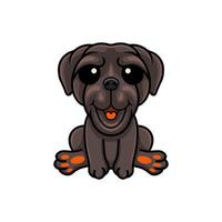 Cute neapolitan mastiff dog cartoon vector