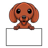 Cute dibujos animados de perro salchicha con cartel en blanco vector