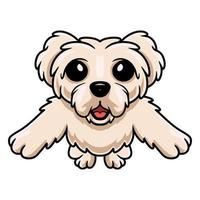 Cute maltese puppy dog cartoon holding blank sign vector