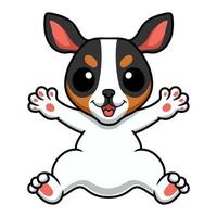 Cute rat terrier dog cartoon vector