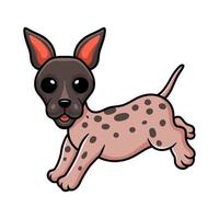 Cute american hairless terrier cartoon vector