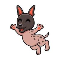 Cute american hairless terrier cartoon posing vector