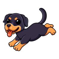 Cute little rottweiler dog cartoon running vector