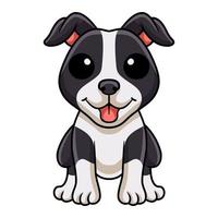 Cute american staffordshire terrier dog cartoon vector