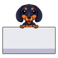 Cute dashund dog cartoon holding blank sign vector