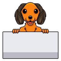 Cute dachund dog cartoon holding blank sign vector