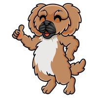 Cute little pekingese dog cartoon giving thumb up vector