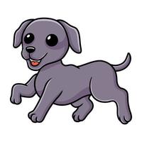 Cute little weimaraner dog cartoon vector