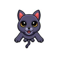 Cute chartreux cat cartoon posing vector