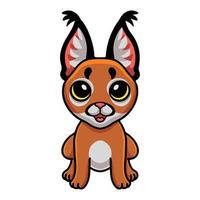 Cute abyssinian cat cartoon sitting vector