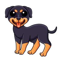 dibujos animados lindo pequeño perro rottweiler vector