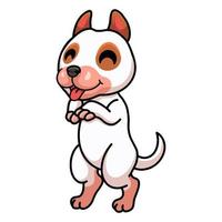 Cute bully kutta cartoon standing vector