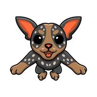 Cute australian cattle dog cartoon vector