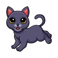 Cute chartreux cat cartoon walking vector