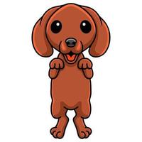 Cute dachshund dog cartoon posing vector