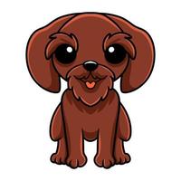 Cute pudelpointer dog cartoon sitting vector