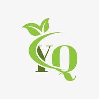 YQ letter logo with swoosh leaves icon vector. pro vector. vector