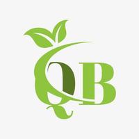 qb letter logo with swoosh leaves icon vector. vector