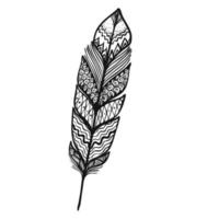 feather ornament vector illustration in black and white colors