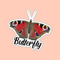 Beautiful colorful butterflies. Butterfly illustration for stickers or print. Butterfly vector design