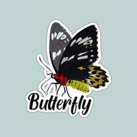 Beautiful colorful butterflies. Butterfly illustration for stickers or print. Butterfly vector design