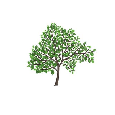 flower leaves, leaf branch, floral leaf,  floral monogram, branch, edding tree, flower branch,