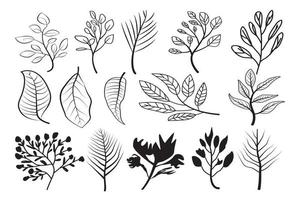 hand drawn plants, plant drawing vine isolated vector art on white background