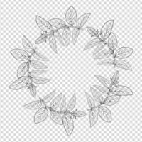 plantas dibujadas a mano, dibujo de plantas vid arte vectorial aislado sobre fondo blanco vector