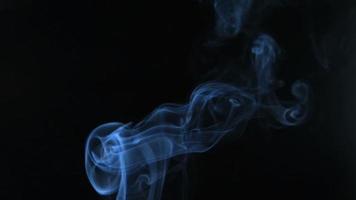 Slow motion of white smoke, fog, mist, vapor on a black background. video