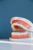 Stomatology concept, partial portrait of girl with strong white teeth looking at camera and smiling, fingers near face. Closeup of young woman at dentist's, studio, indoors photo