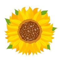 Trendy Yellow Flower vector