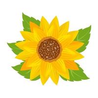 Trendy Blooming Flower vector