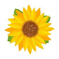 Trendy Sunflower Concepts vector