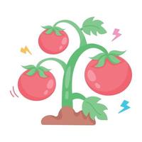 planta de tomates de moda vector